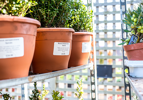 Self-adhesive plant pot label