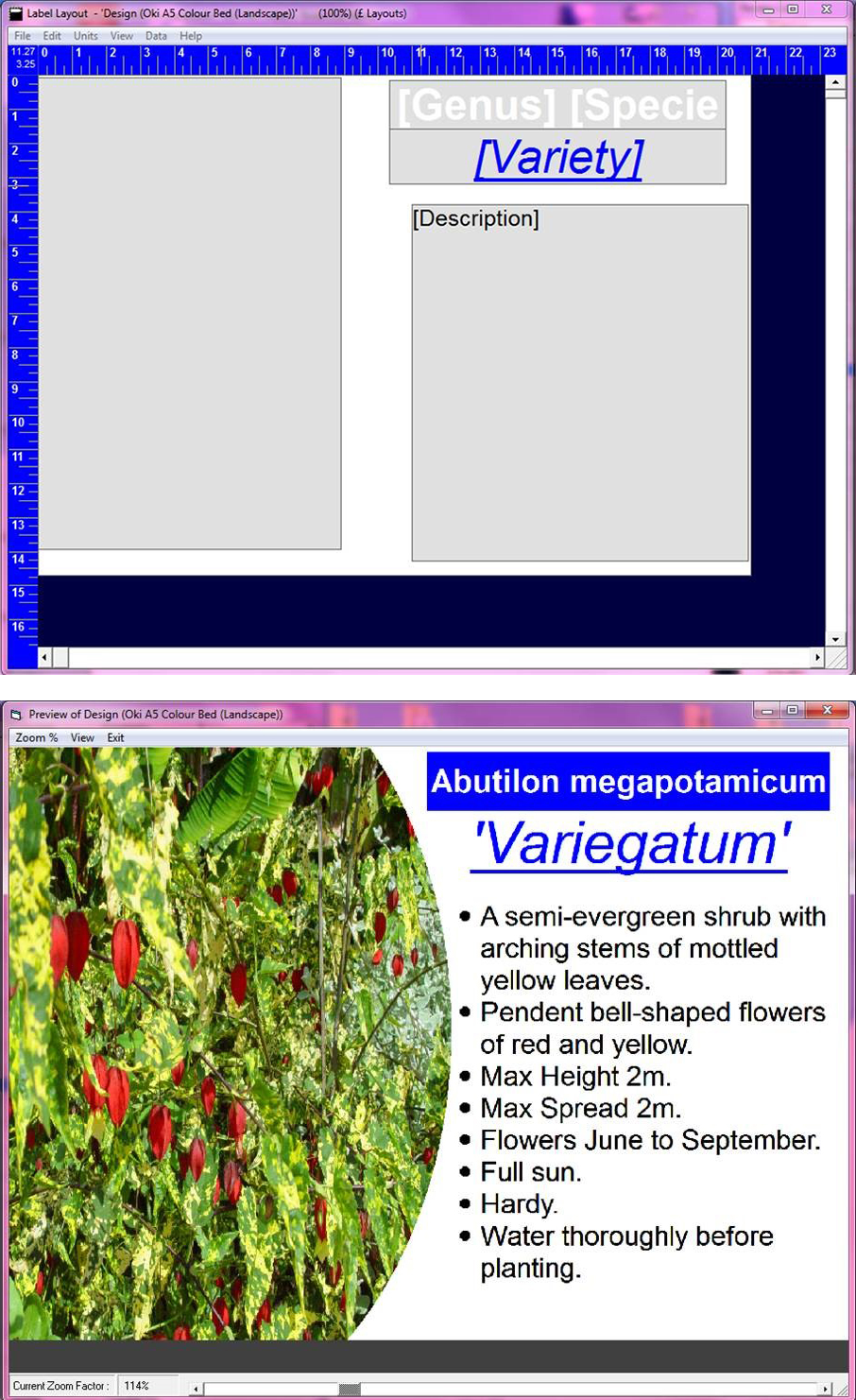 HLS screenshot examples showing print preview and template