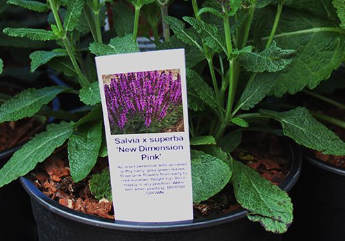 Stick-in label in plant pot