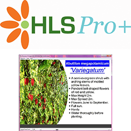 HLS Pro Software