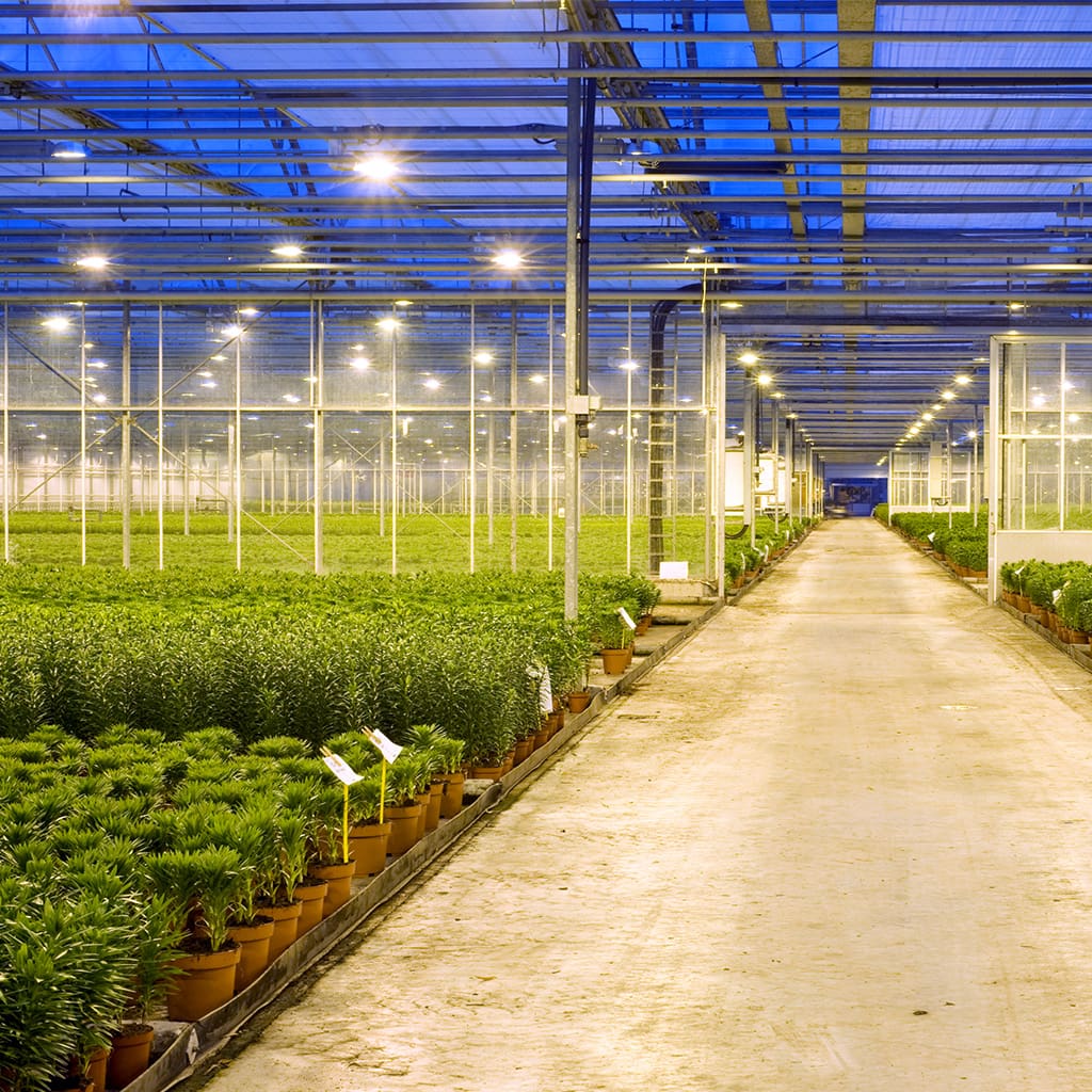 Changes to the horticultural industry in 2024